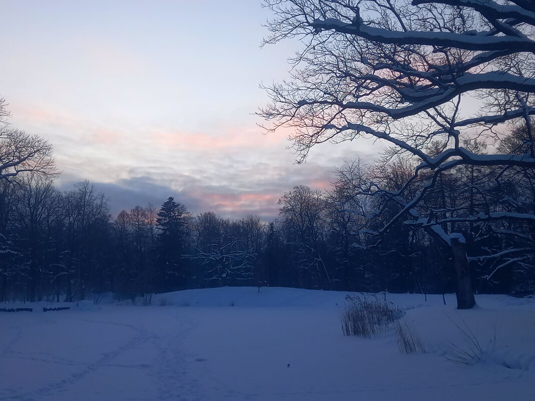 Закат - Сапсан 