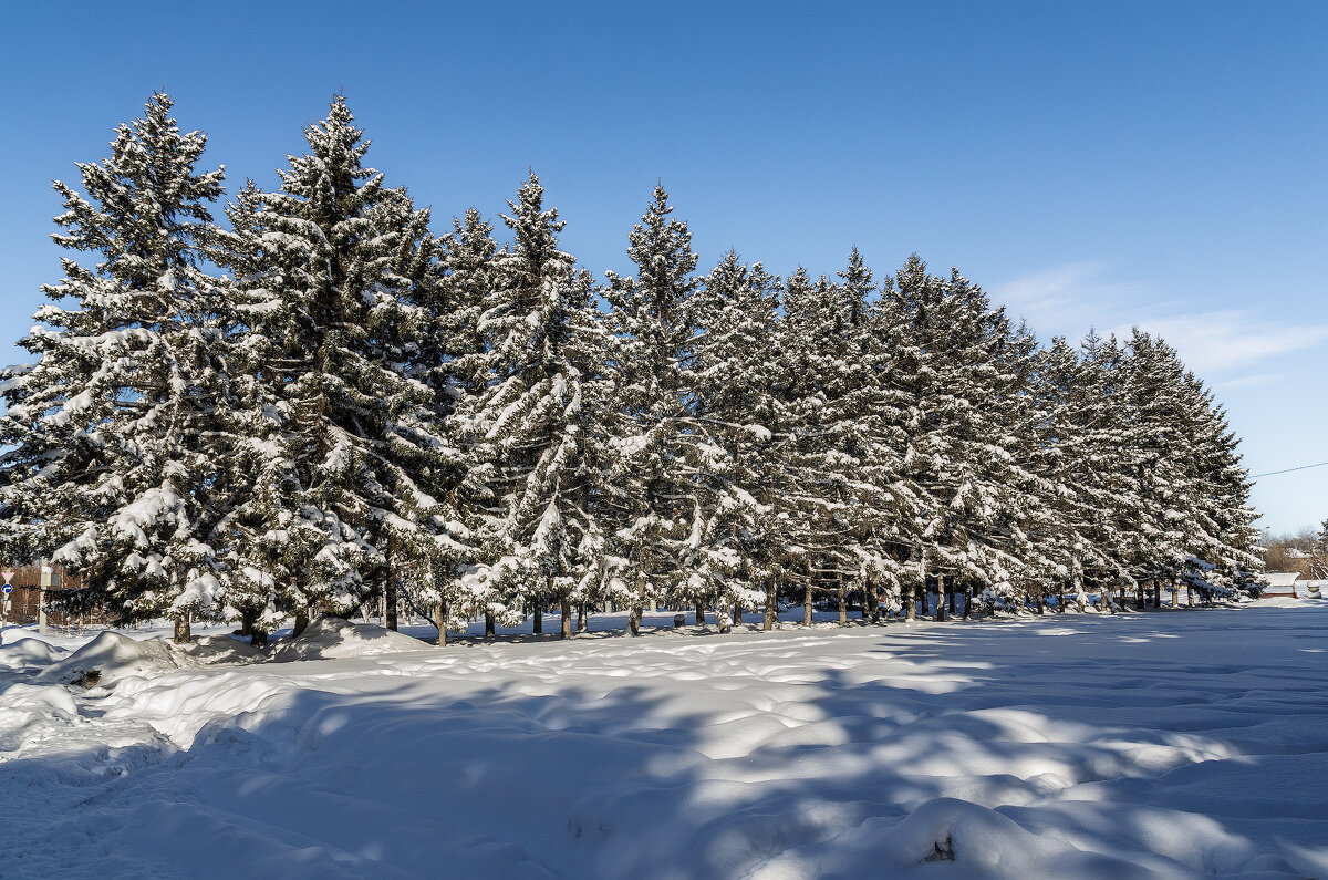 *** - Виктор Иванович Чернюк *** - Виктор Иванович Чернюк