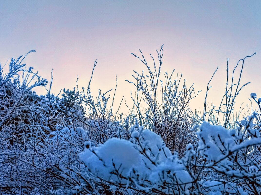 Морозный закат - Veera V