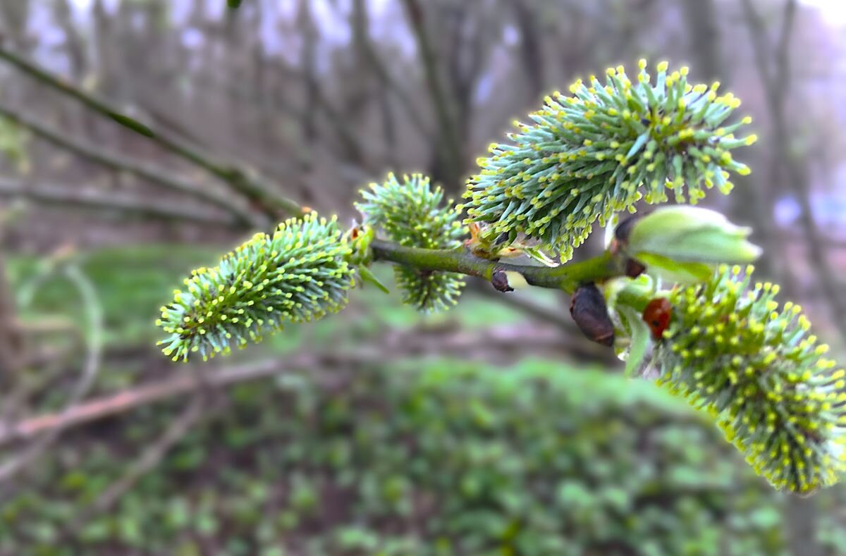 ***вспоминая былое*** - Olga Oskolkova
