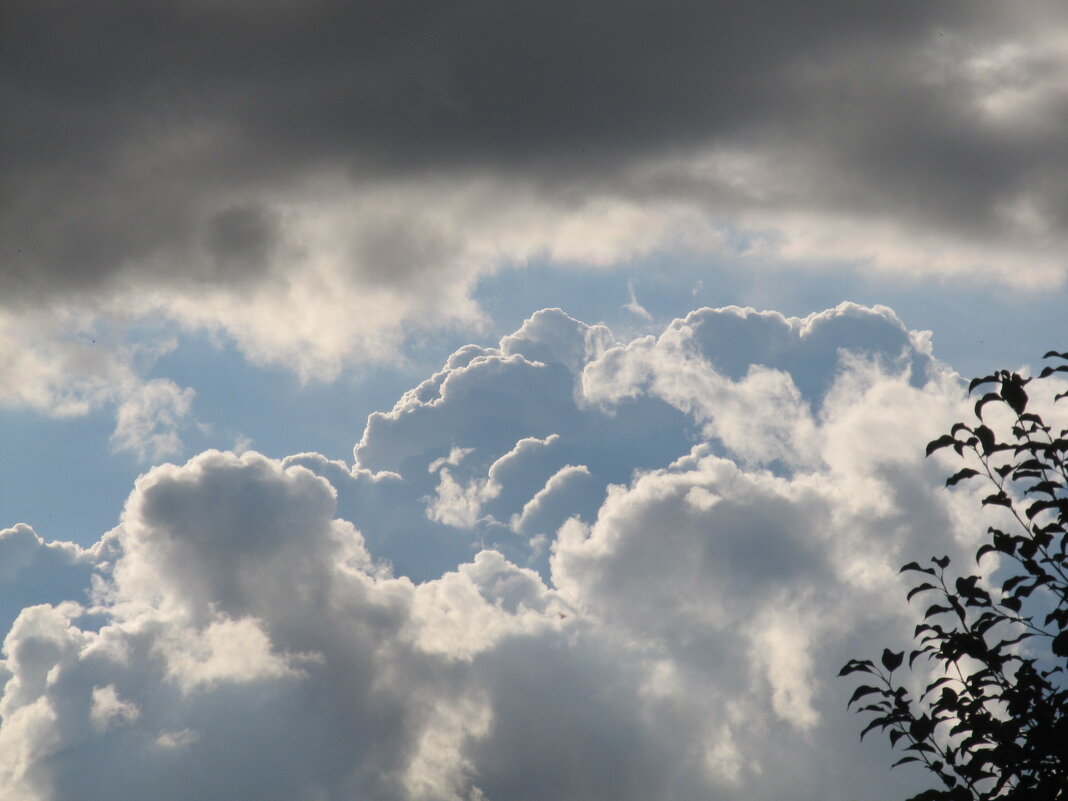 небо Екатеринбурга - Елена Шаламова