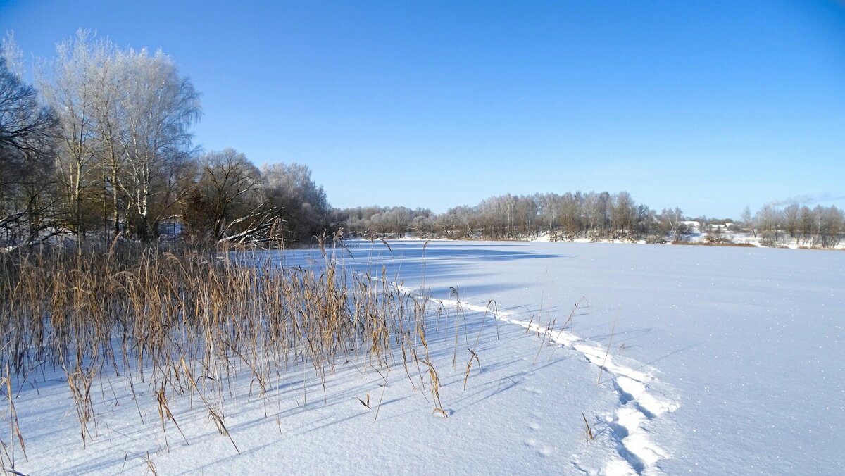 Моя Смоленщина. - Милешкин Владимир Алексеевич 