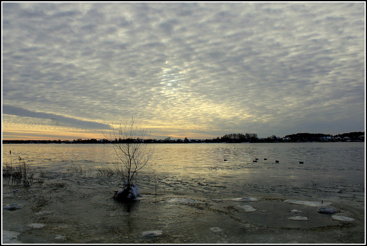 *** - Aleksandr Gal *** - Aleksandr Gal