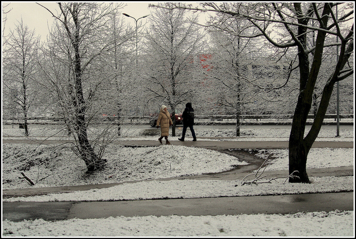 *** - Aleksandr Gal *** - Aleksandr Gal