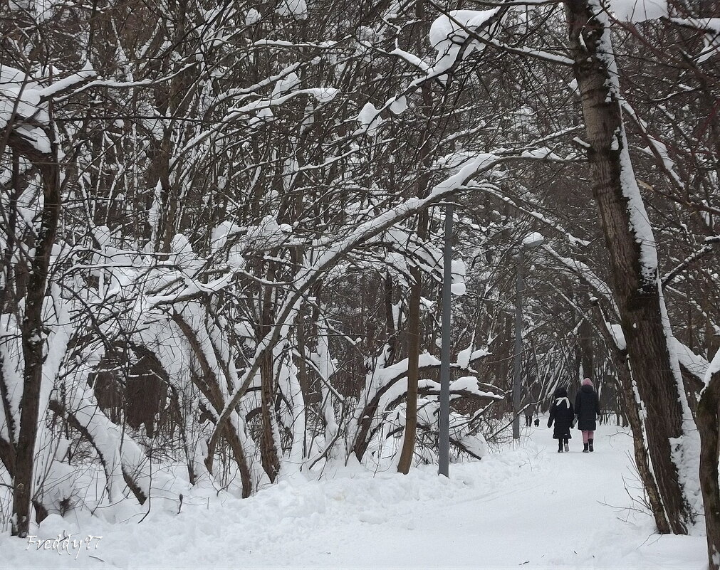 В парке - Freddy 97 В парке - Freddy 97