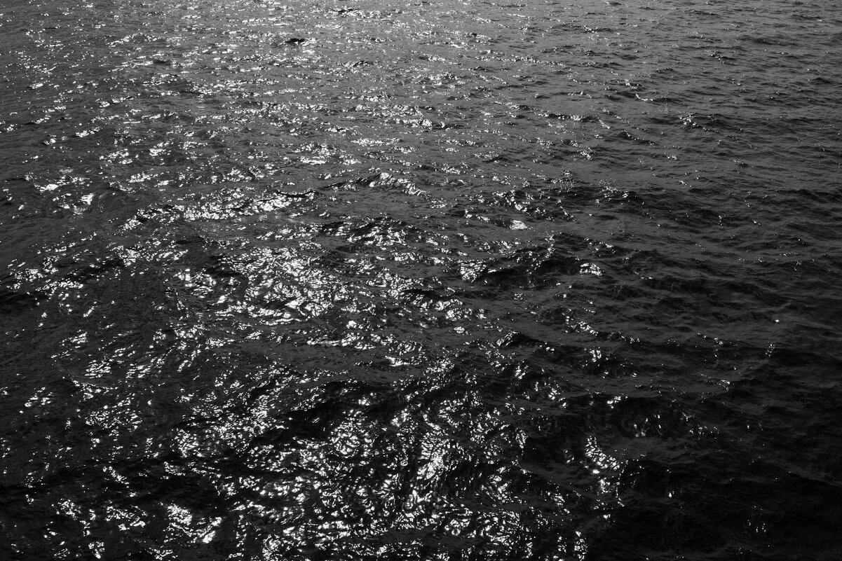 Нева - Sergei Vikulov