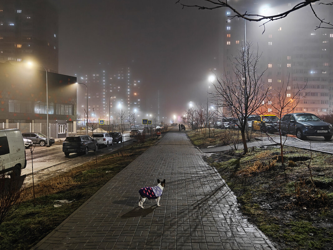 Ростовские зарисовки - Александр Гапоненко Ростовские зарисовки - Александр Гапоненко