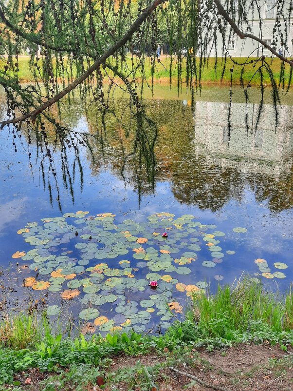 Отражение - Irene Irene