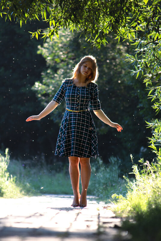 * - Евгений Ваулин