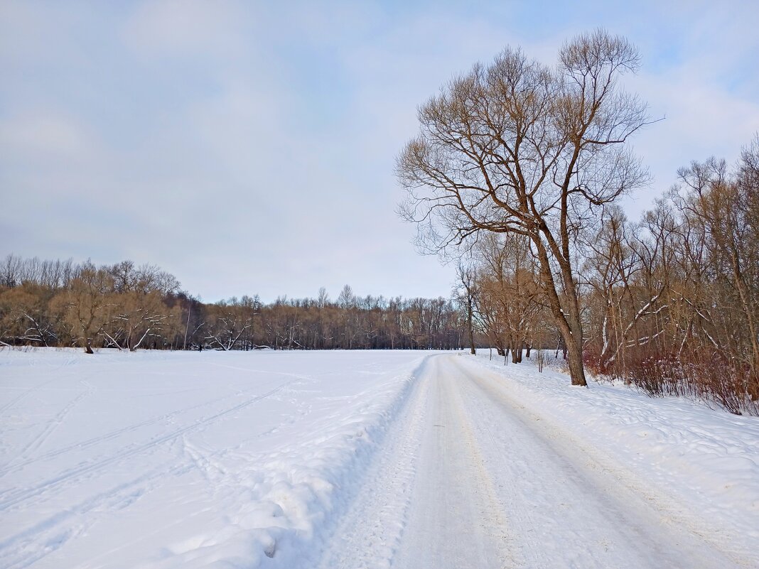 Из февральских прогулок. - Лия ☼ Из февральских прогулок. - Лия ☼
