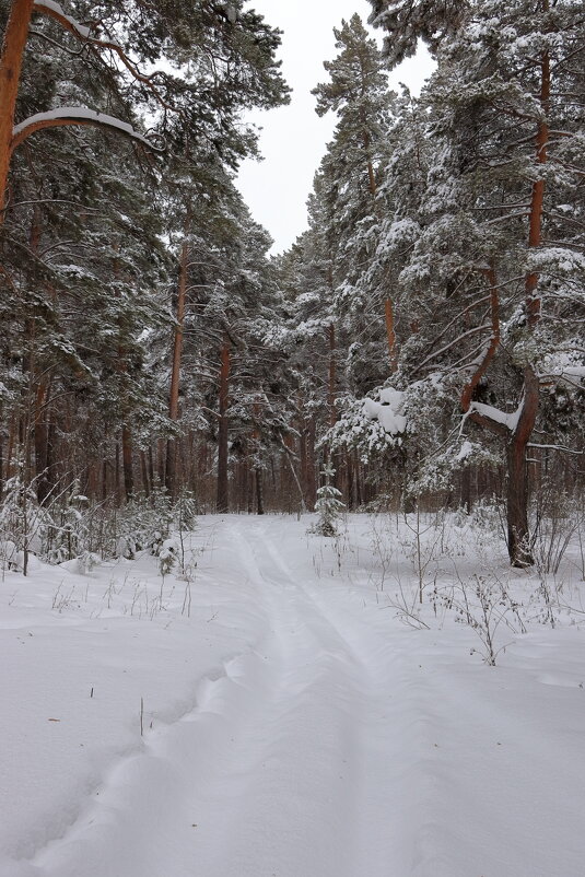 *** - Александр Николаев