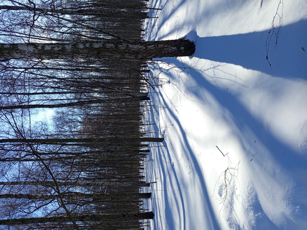Так тоже можно провожать зиму - Андрей Лукьянов Так тоже можно провожать зиму - Андрей Лукьянов