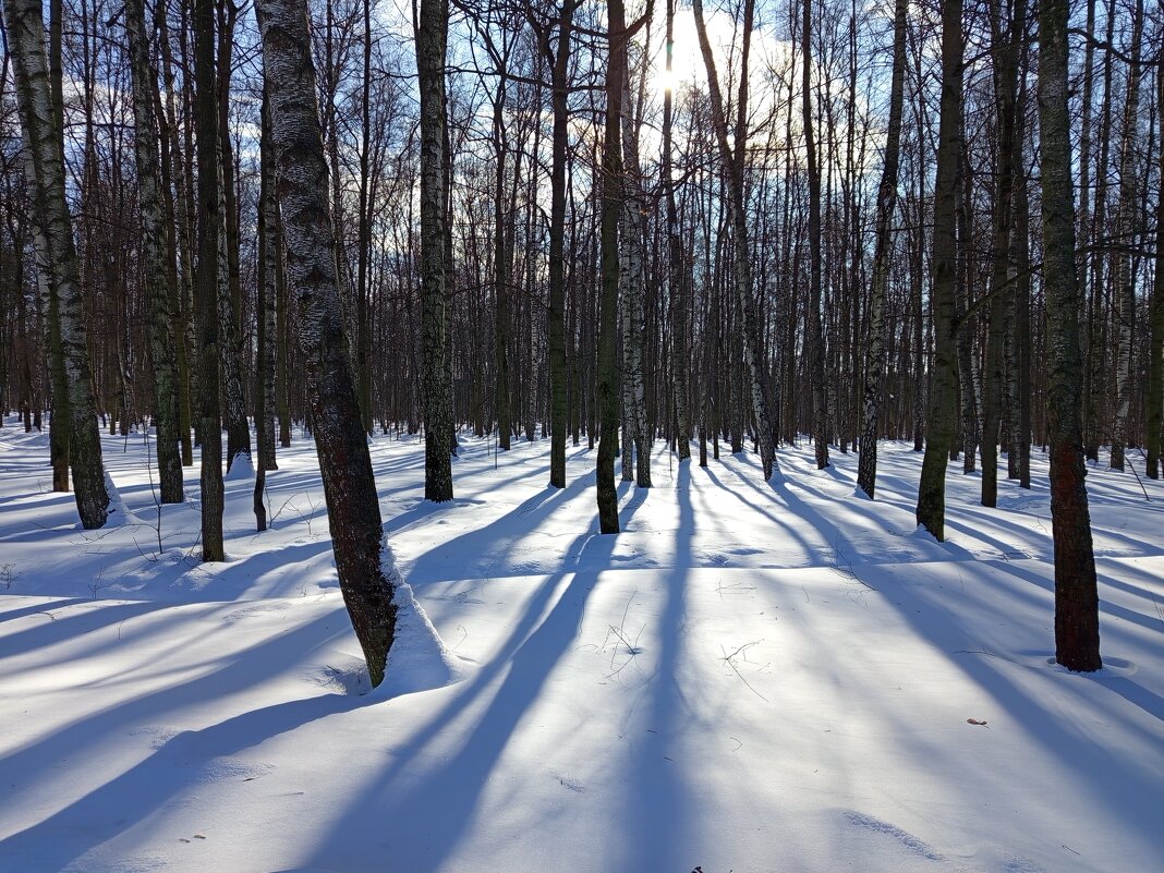Так тоже можно провожать зиму - Андрей Лукьянов Так тоже можно провожать зиму - Андрей Лукьянов