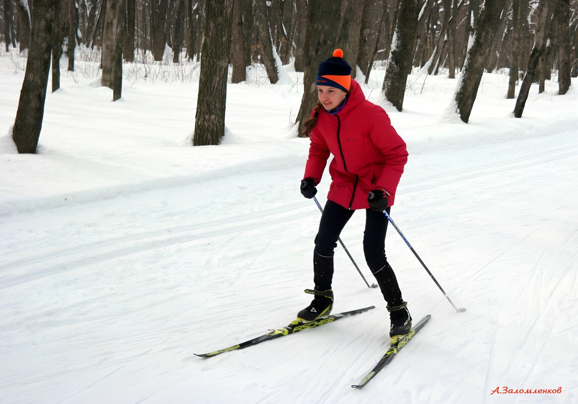 На лыжне февраля... - Андрей Заломленков На лыжне февраля... - Андрей Заломленков