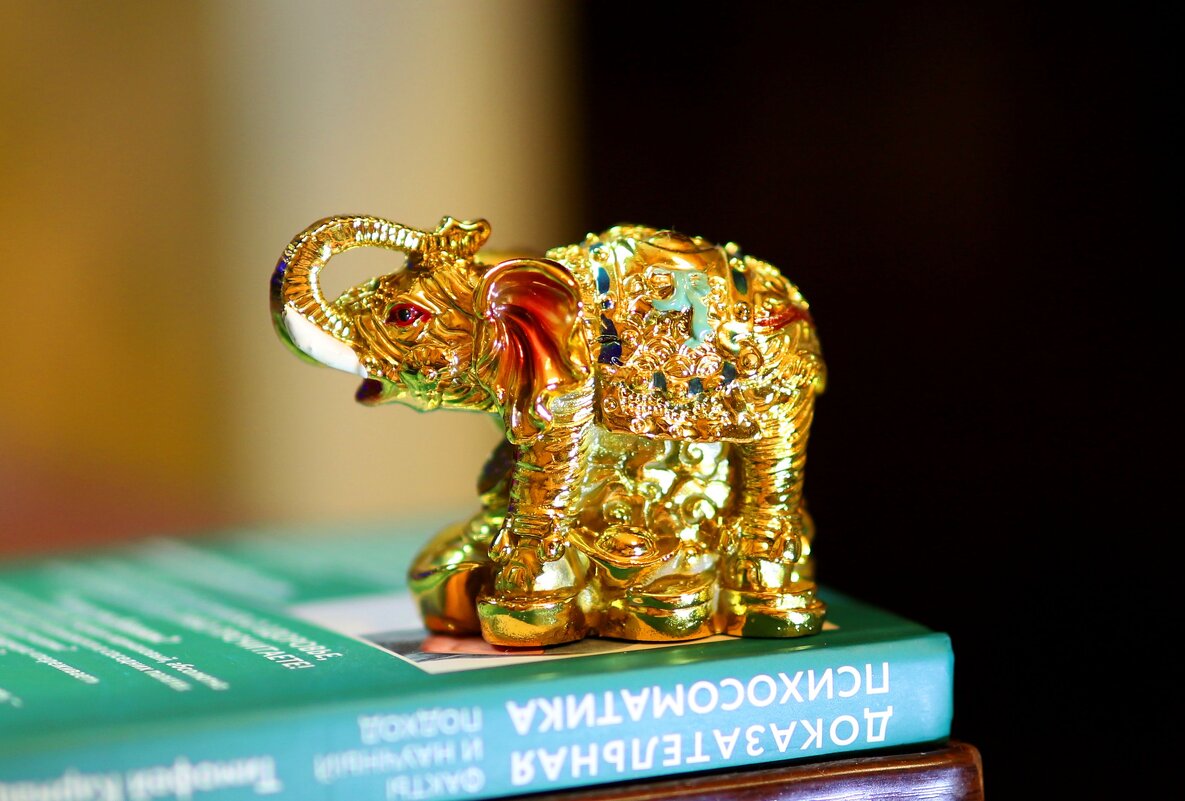 *** - Андрей Л. В. *** - Андрей Л. В.