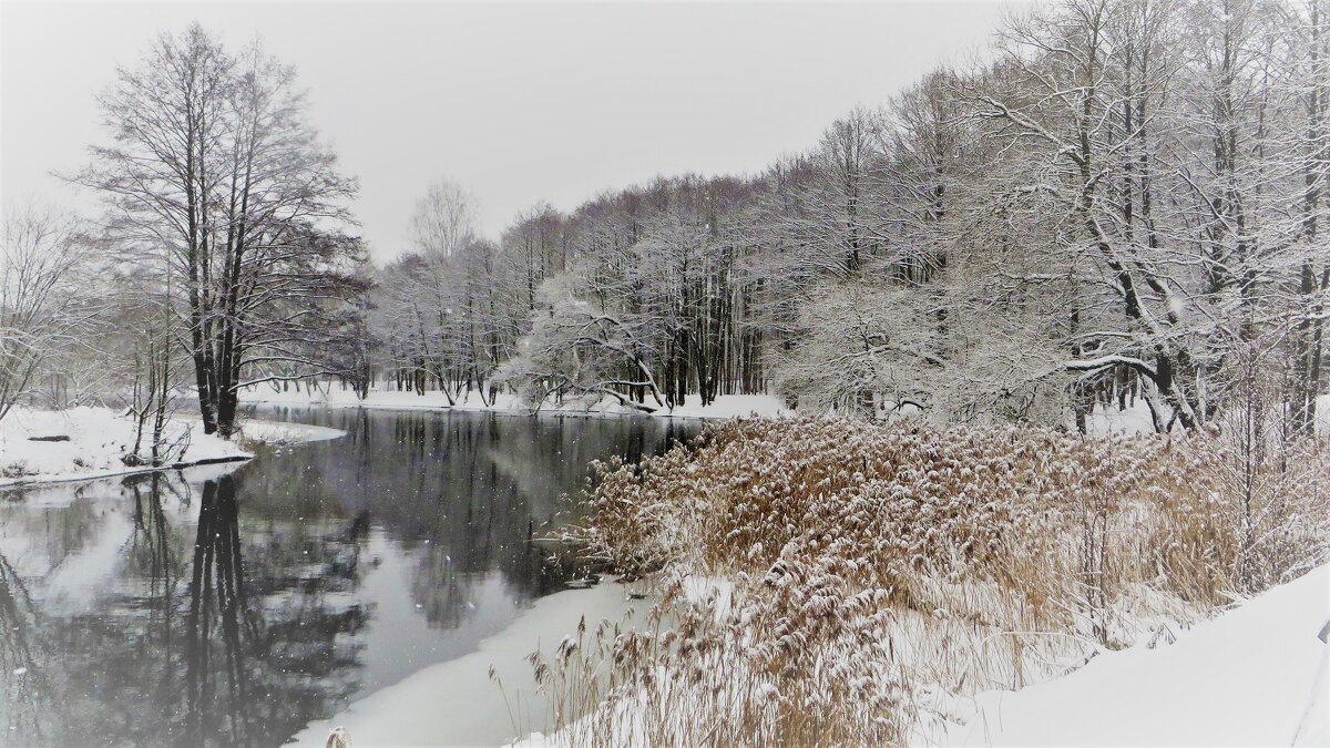 Зимний пейзаж - Ирина Олехнович Зимний пейзаж - Ирина Олехнович