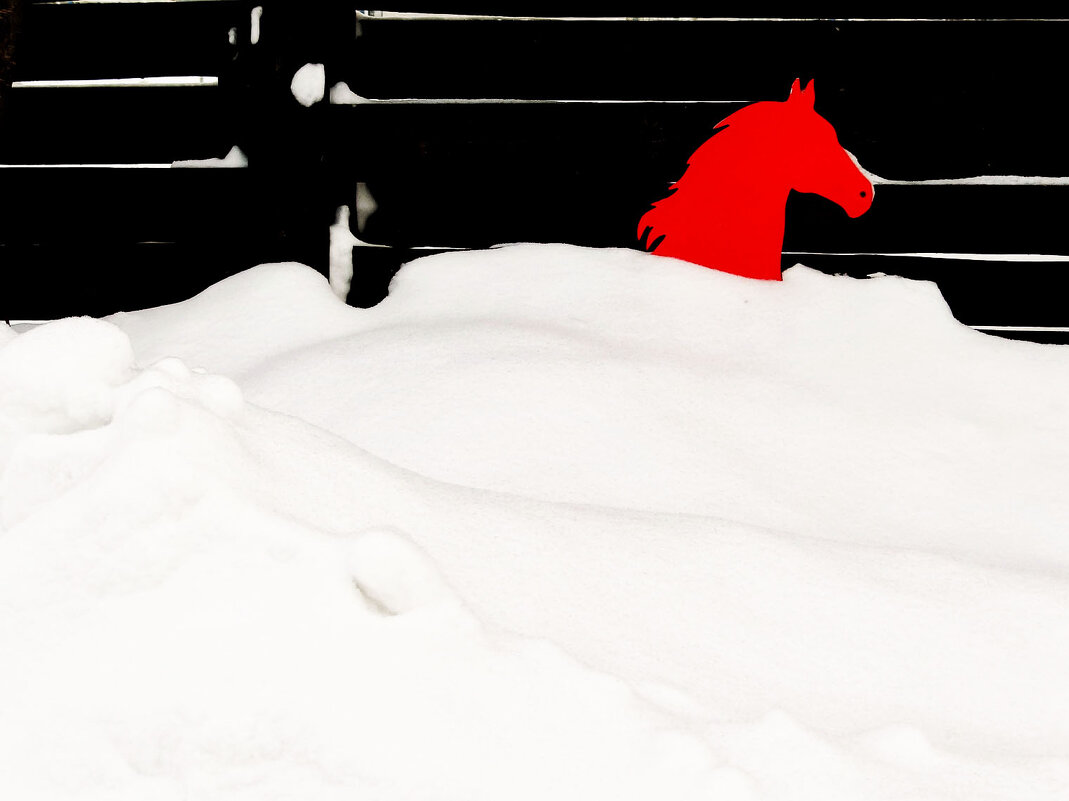 Купание красного коня - Maria Rainer Купание красного коня - Maria Rainer