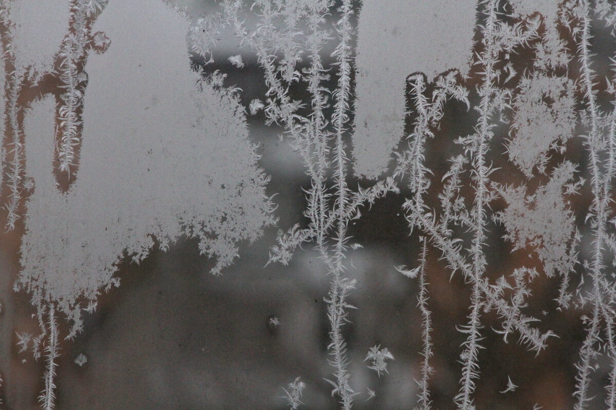 Зима рисует - олег свирский Зима рисует - олег свирский