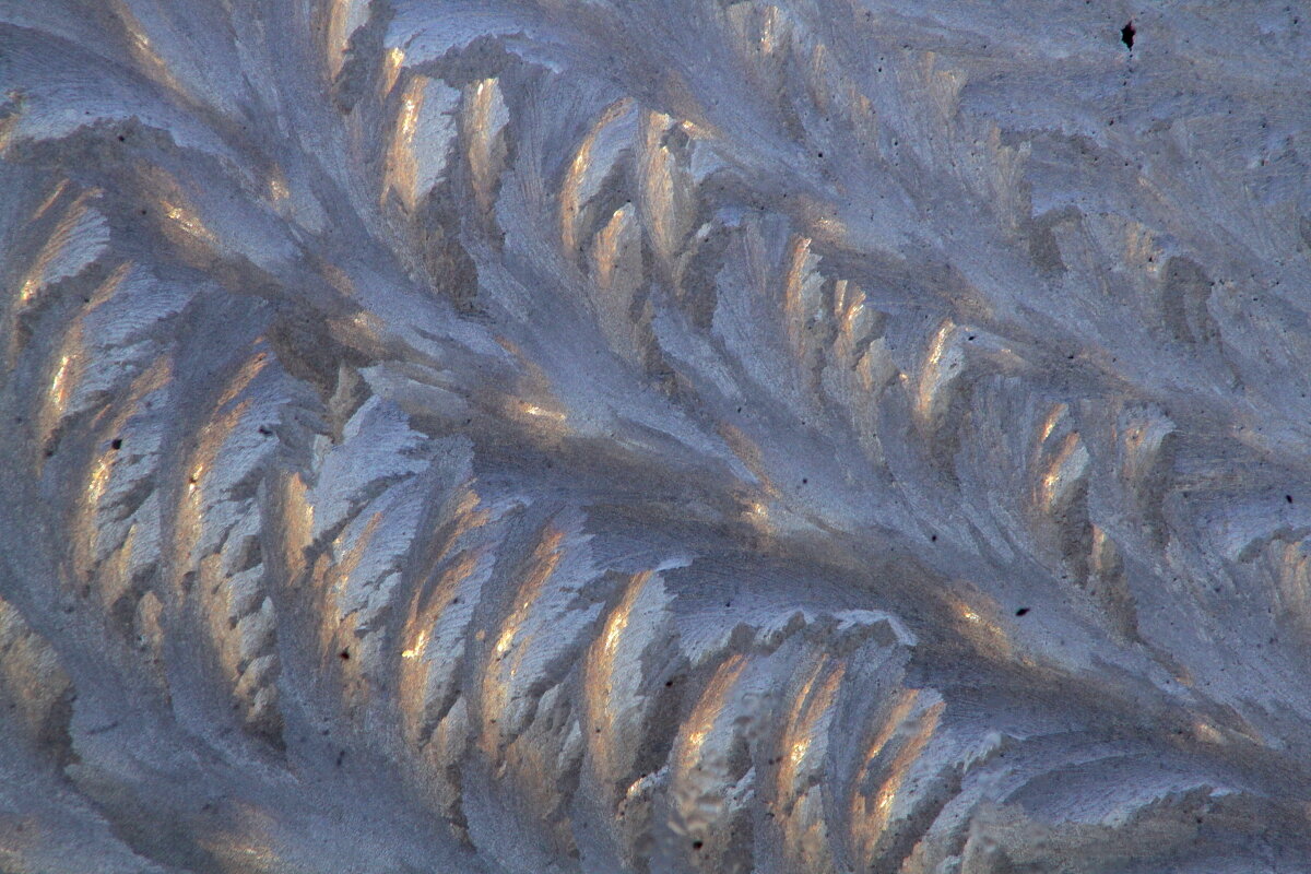 Зима рисует - олег свирский 