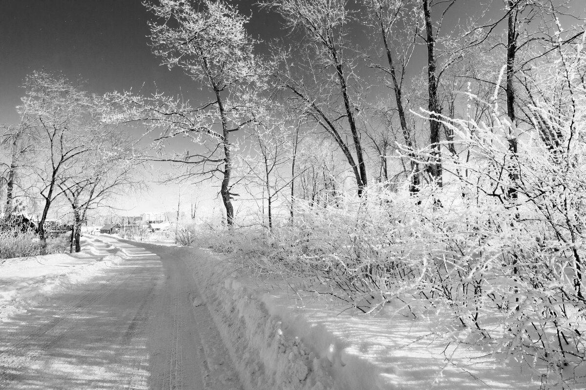 Иней на деревьях, мороз -27 градусов. - Николай 