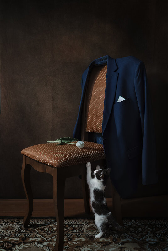 Повесил свой сюртук на спинку стула... - Michel 