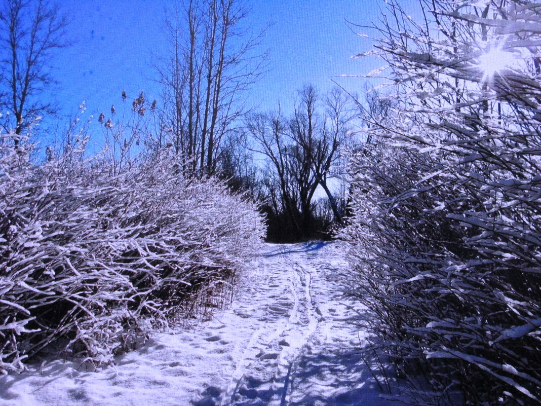 Февраль - Людмила Смородинская