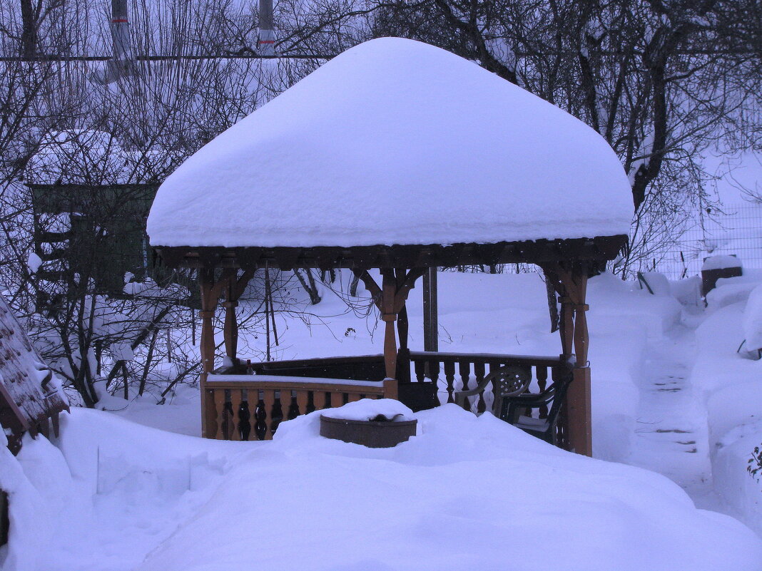 В зимнем наряде - Людмила Смородинская