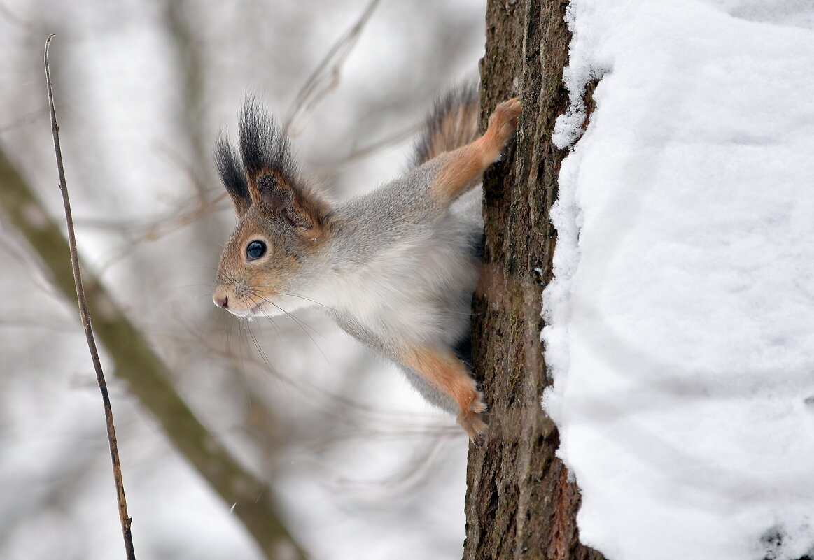 _____. - Алексей .