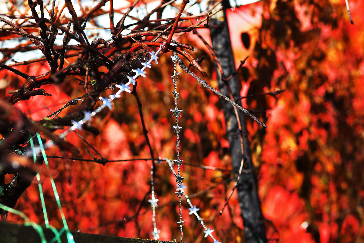 Побольше красок в жизни - Юрий Гайворонскiий