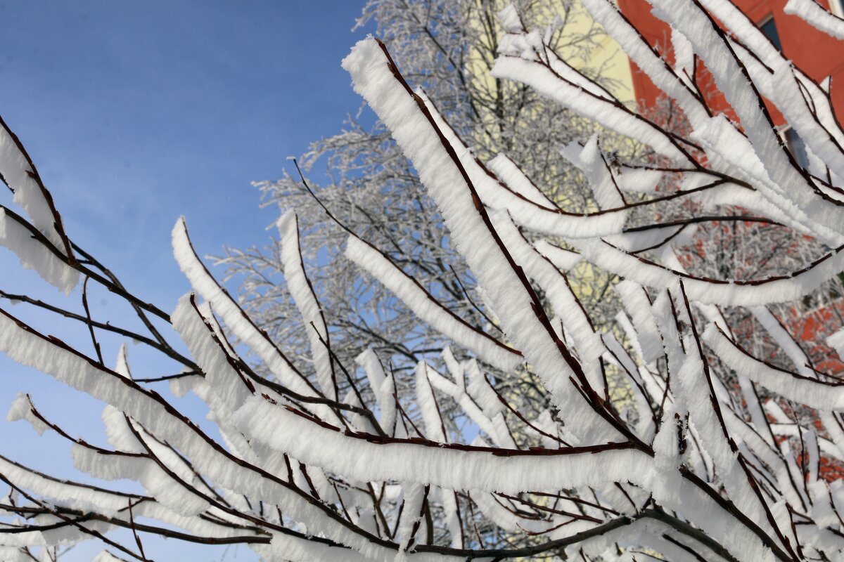 Принарядились... - Ольга 