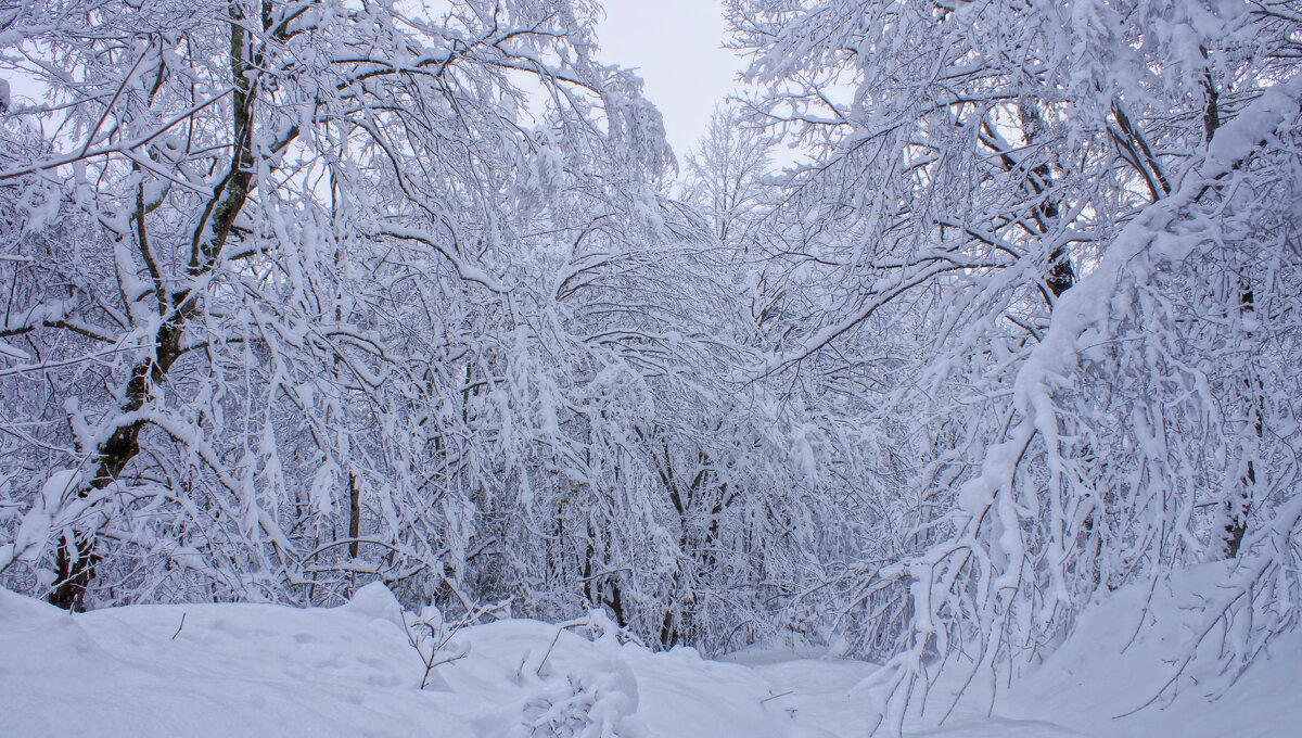 Новогоднееутро---09 - Владимир Холодный