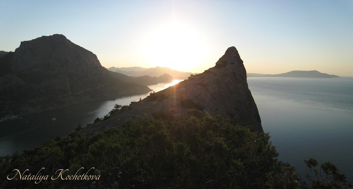 Природа Крыма - Amazing Cosmea Природа Крыма - Amazing Cosmea