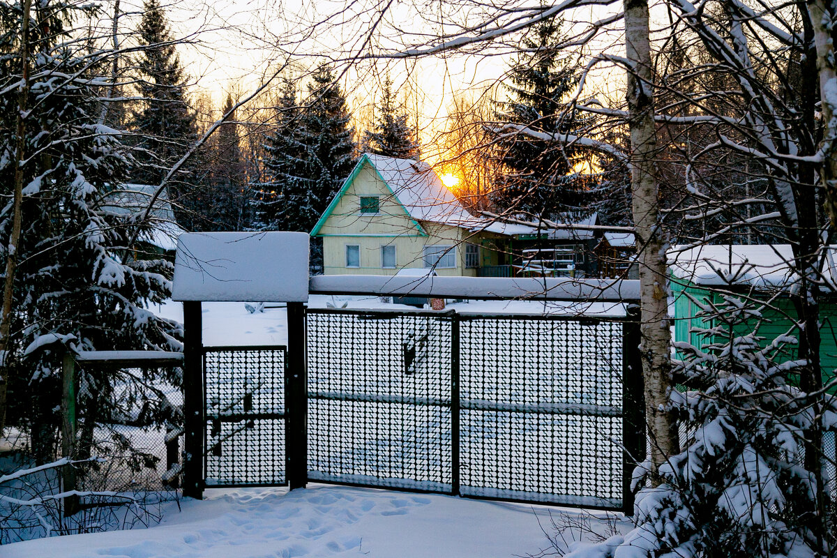 Садовый участок - Александр Силинский