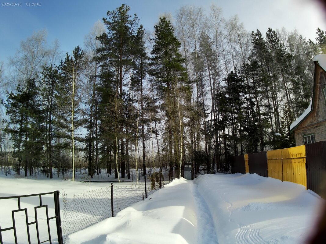 Просто зимний день. - Михаил Елочкин