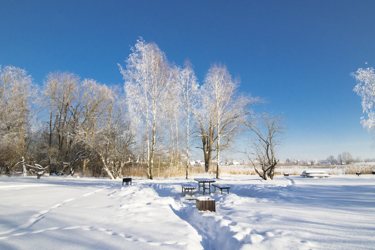 Зона отдыха у озера. - Николай 