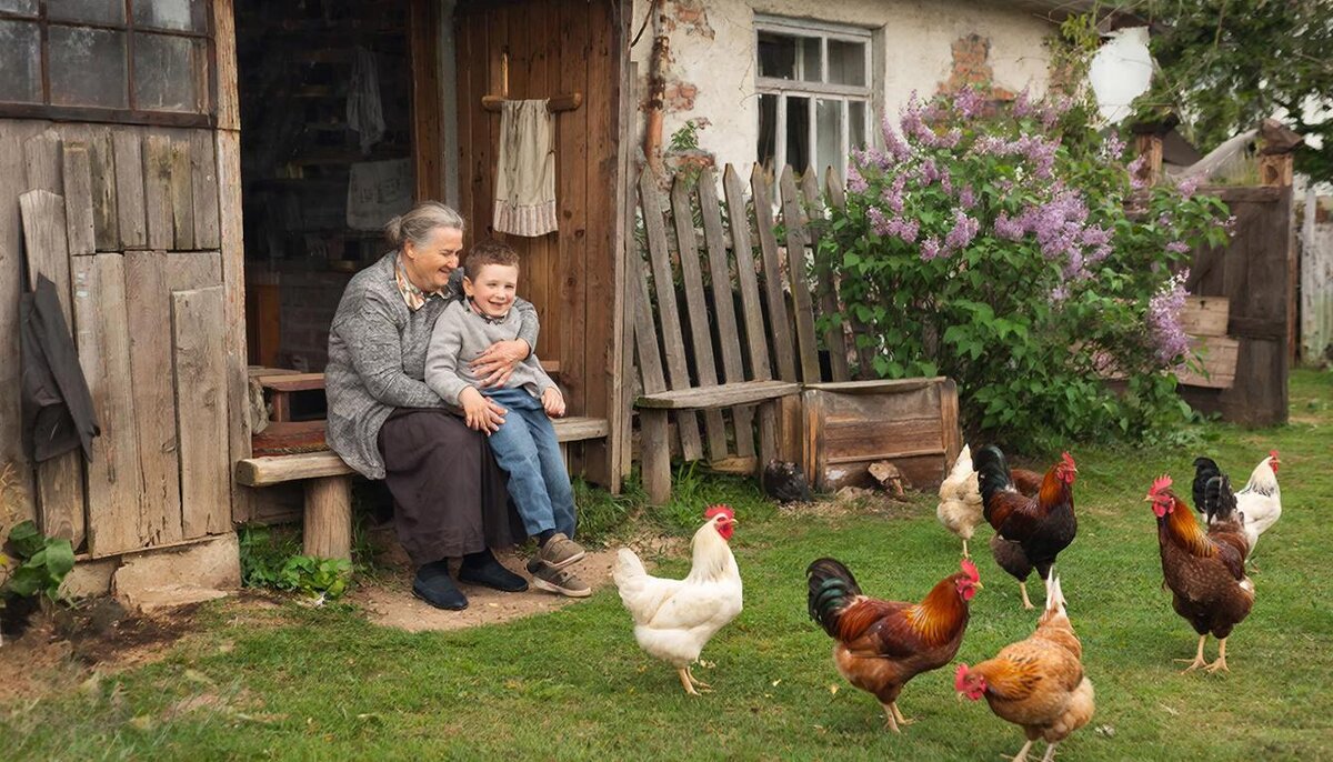 Вот моя деревня! - СЕРГЕЙ ФИЛОЧКИН