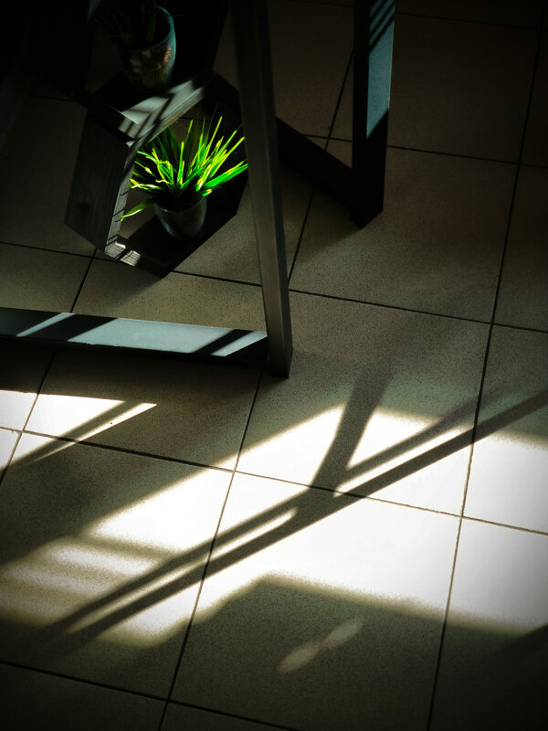 * - Сергей Полянский