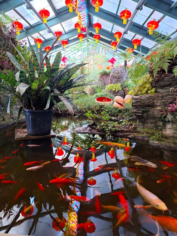 Аптекарский огород - Наталья Аптекарский огород - Наталья