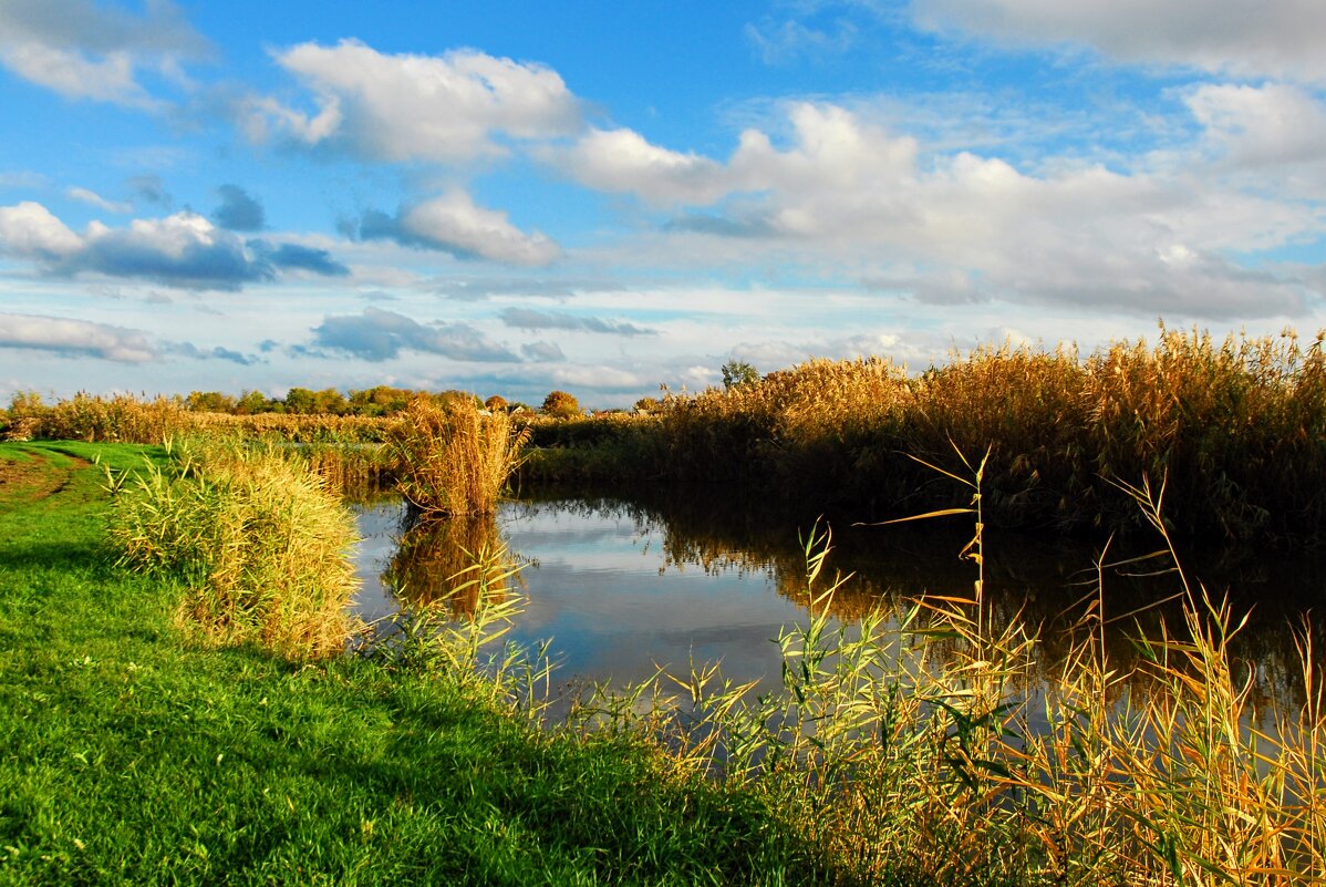 Осень. - Владимир Осень. - Владимир