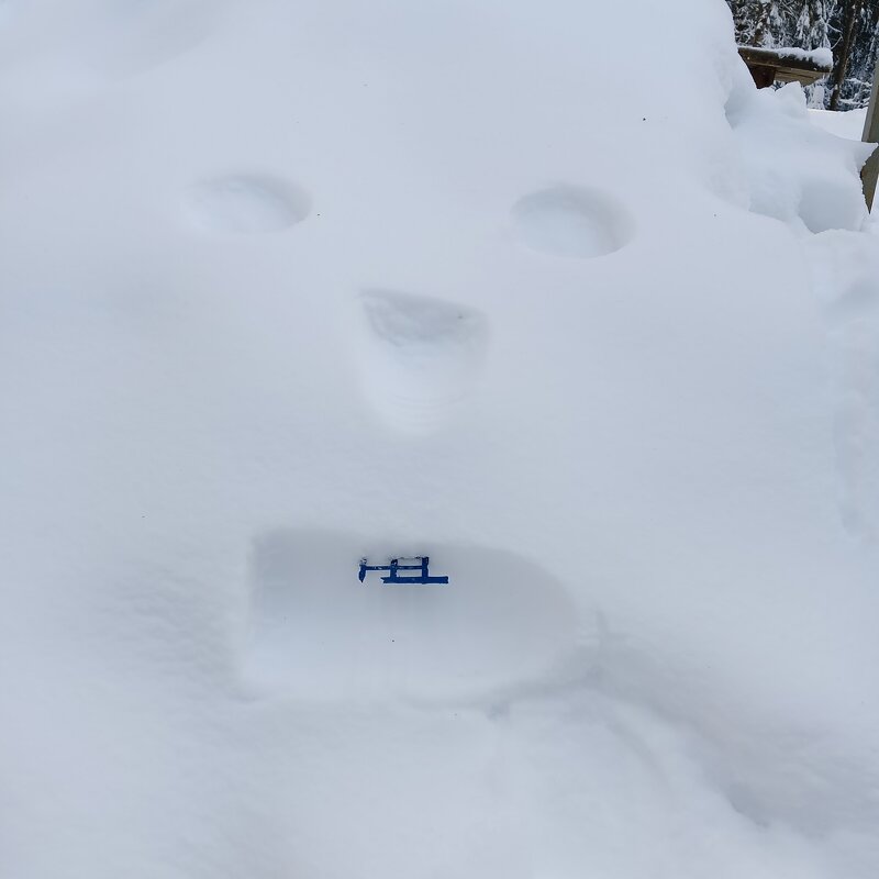 портрет беззубого существа - Владимир 