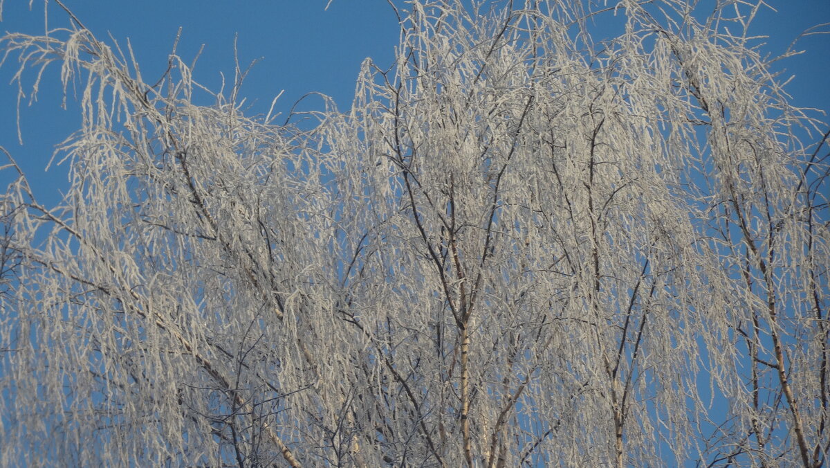 зима - kudrni Кудрявцева