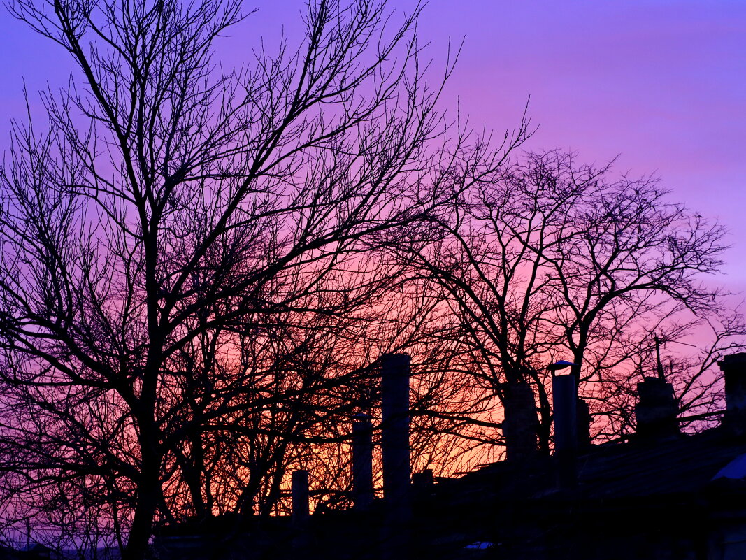 утро - Игорь Kуленко утро - Игорь Kуленко