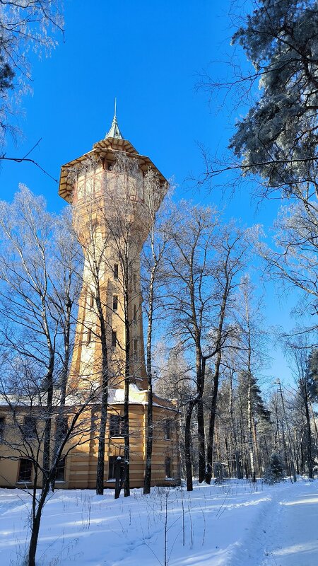 Гидротехническая башня политехнического университета - Ольга Гидротехническая башня политехнического университета - Ольга