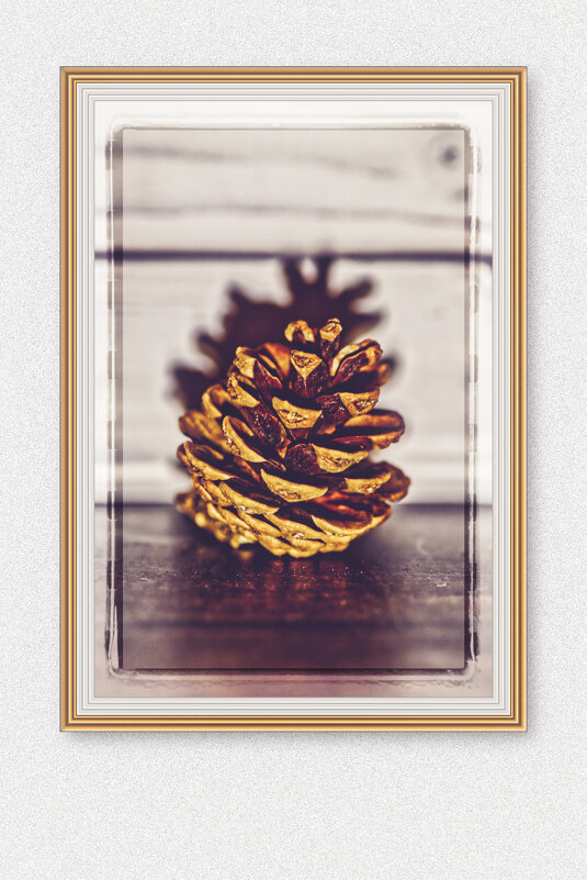 (°-°) - Jakob Dick