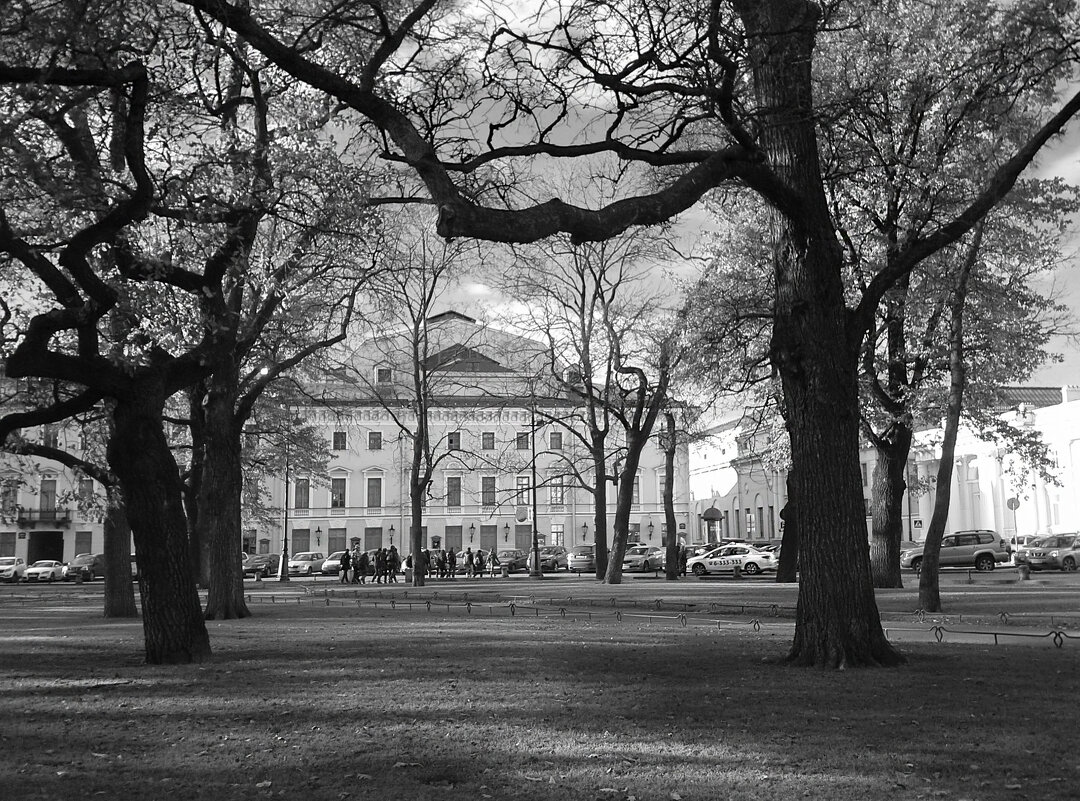 Городские декорации - Наталья 