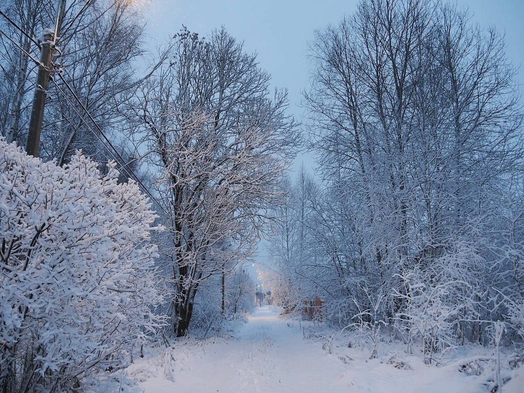 Утро после снегопада - Мария К.