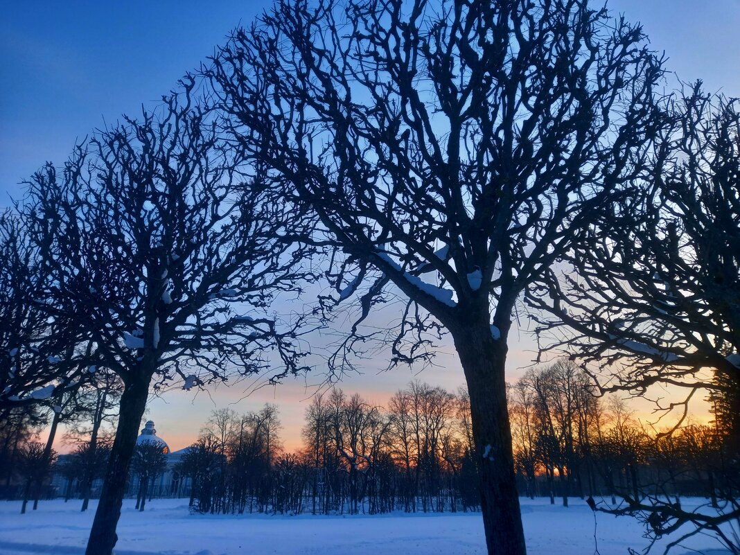 Закат - Сапсан 