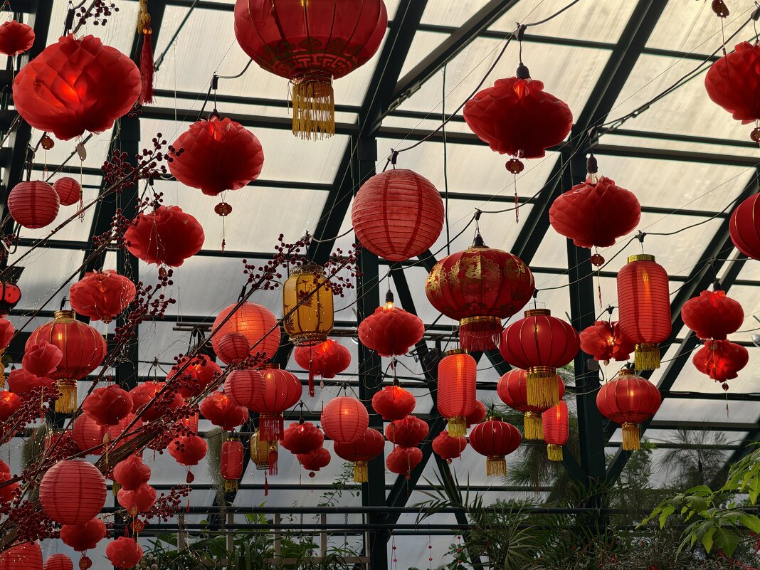 Китайский новый год в Аптекарском огороде - <<< Наташа >>>