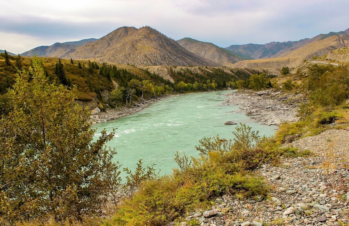 Природа  Горного Алтая - елена беликова