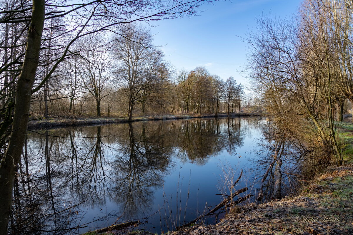 Январское... - Николай Гирш